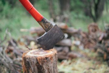 Bushcraft Axt