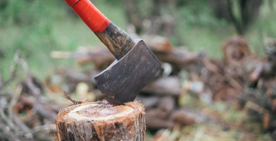 Bushcraft Axt